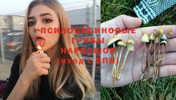 PSILOCYBIN Белоозёрский
