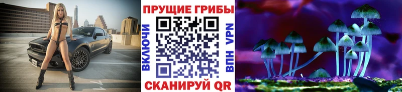 дарнет шоп  Ленинск-Кузнецкий  Галлюциногенные грибы Psilocybe 