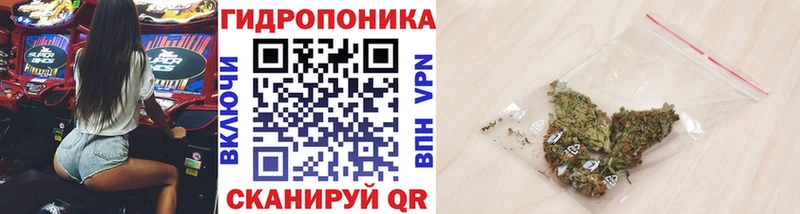 Конопля Bruce Banner  Ленинск-Кузнецкий 